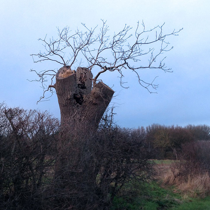 Formative Pruning & Monolith