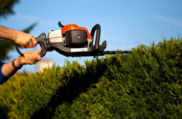 hedge cutting services maplebeck tree care