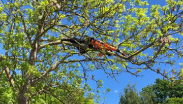 arborist-climber-job-news