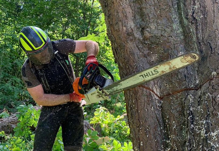 Seen as a last resort, this should be avoided if at all possible. A tree that may warrant such attention is one that poses an unacceptable risk to people and property. Learn more