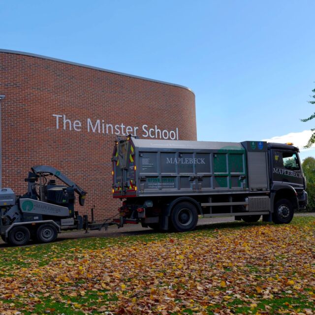 Over the half-term break, the team carried out pollarding work at The Minster School, helping to maintain tree health and ensure the safety of students and staff. All the wood chip which was produced was then donated back to the school to reuse around the site - a great example of sustainable tree management. We take pride in supporting local schools, delivering safe, efficient tree care, that keeps outdoor spaces thriving for years to come. #pollarding #woodchipper #school #donated #schoolholiday #halfterm