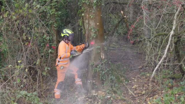 Great teamwork again with rsmmaintenance, preparing Papermill Lane for drainage works. #hedgecutting #clearance #chainsaw #teamwork #tractor #chipper