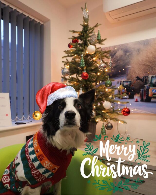 Wishing you a very merry Christmas from all of us here at Maplebeck Tree Care 🎄🎅 #merrychristmas #christmasjumper #christmas