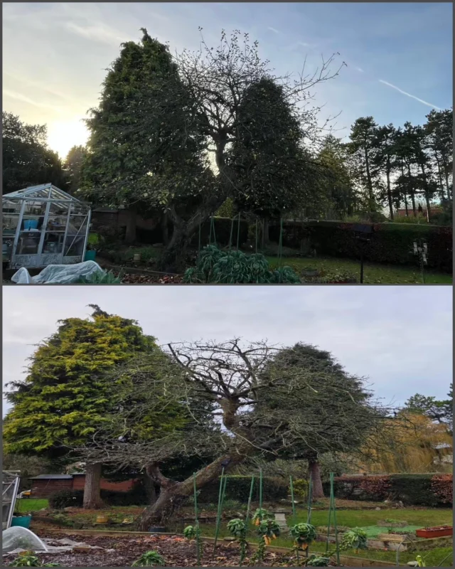 Great feedback received following a domestic pruning job: “Please pass on our thanks for a very professional job. The lads were very polite, cracked on with the job and cleaned up. Well to be honest can’t fault them at all.” -John #review #pruning #feedback #domestictreework